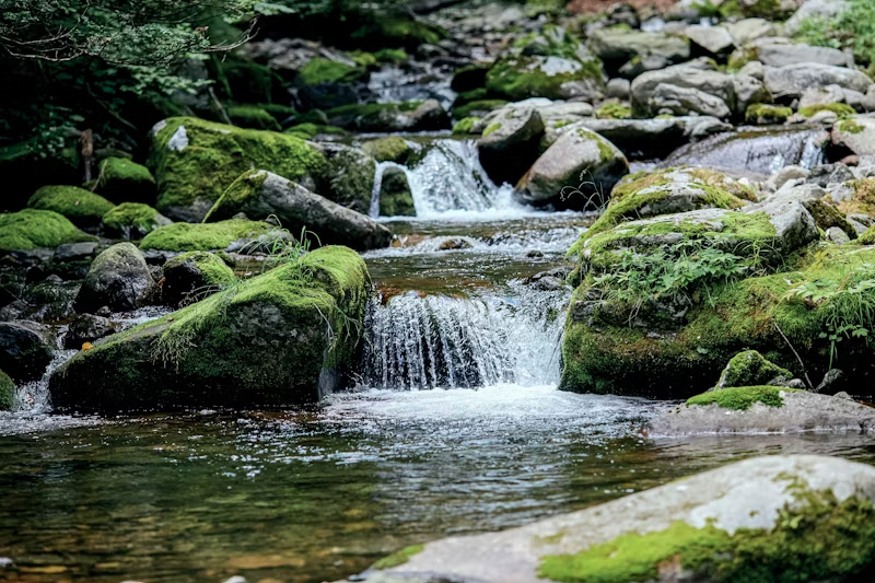 water business supply