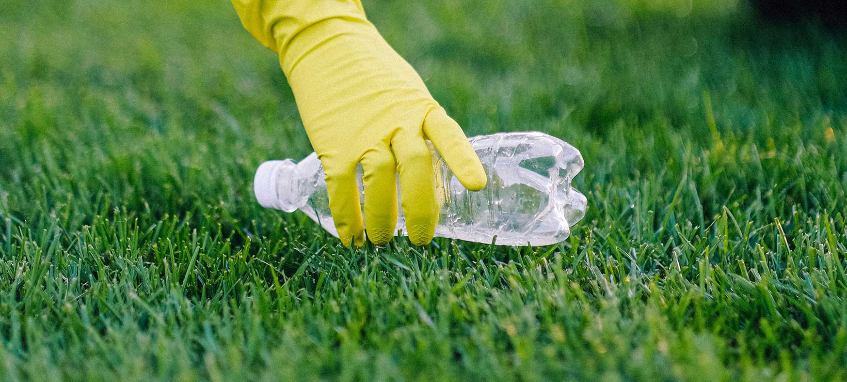 Litterbugs: the impact of litter on the climate