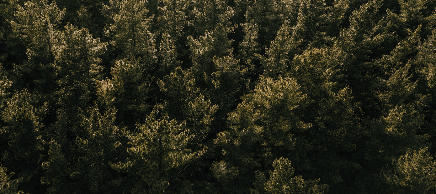 Environmental products and <span>services for your business</span>