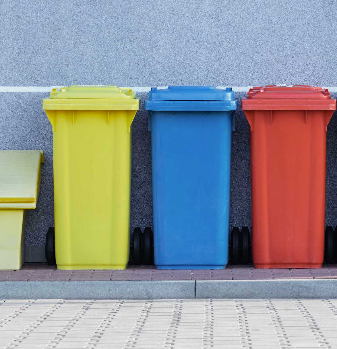 Avoiding a wasteful January: how to dispose of Christmas rubbish responsibly