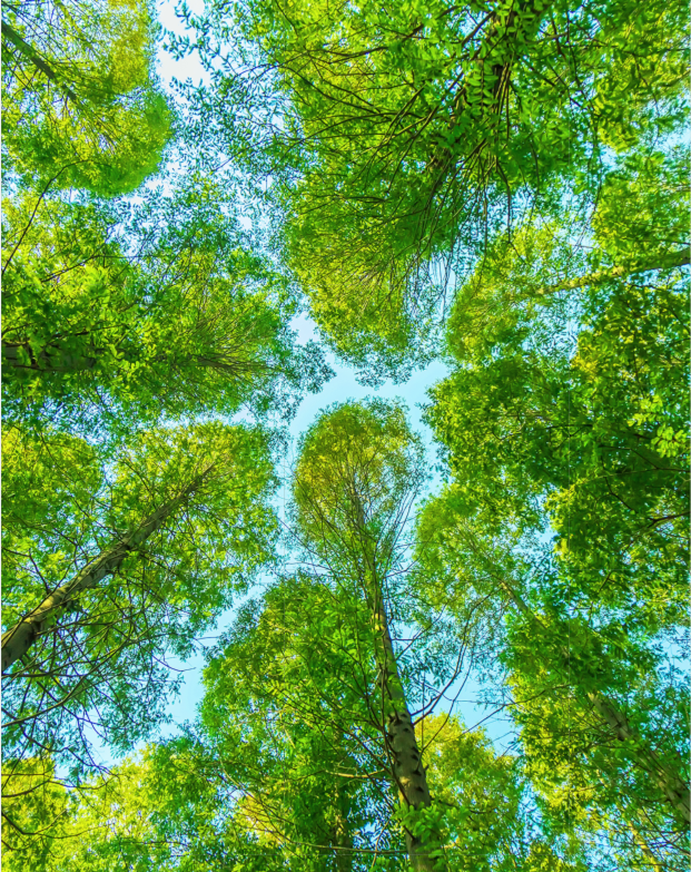 How might climate change affect the UK’s water supply?