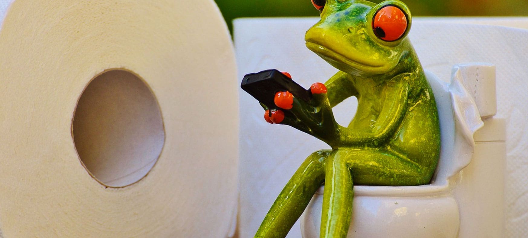 To flush or not to flush? That is the question