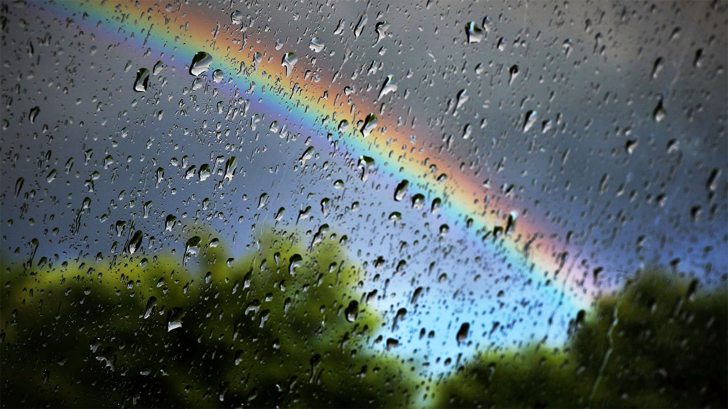 Turning rain into ROI: how rainwater harvesting can benefit businesses