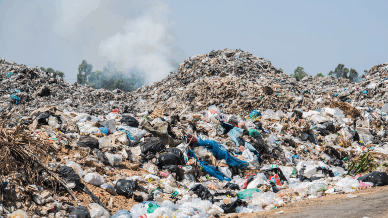 What’s the real impact of landfill in the UK